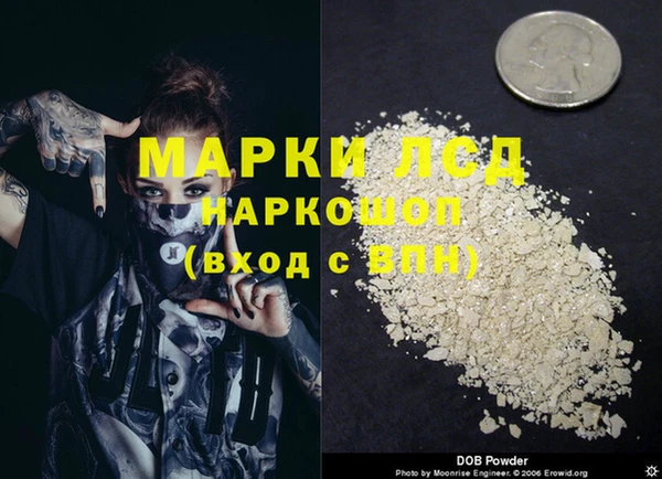 прущая мука Арсеньев