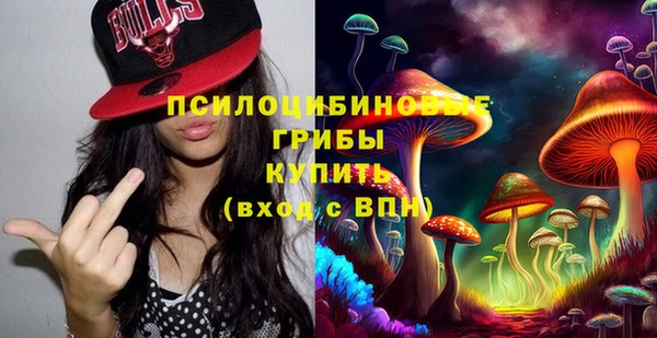 прущая мука Арсеньев