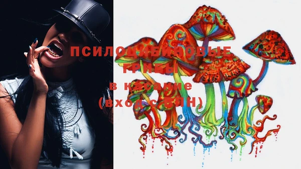прущая мука Арсеньев