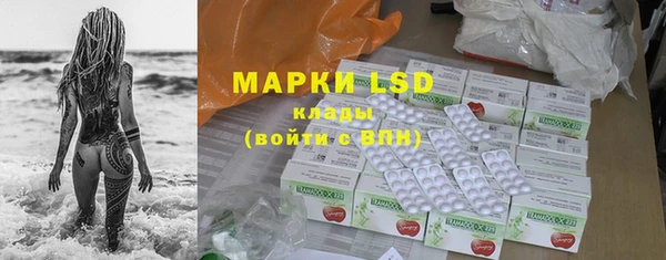 apvp Аркадак