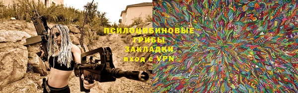 apvp Аркадак